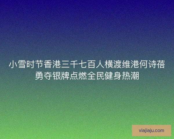 小雪时节香港三千七百人横渡维港何诗蓓勇夺银牌点燃全民健身热潮